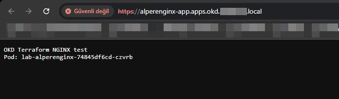 The browser receives the NGINX test response and serving pod name. The certificate is not trusted in this browser.